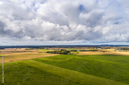 Aerial view of amazing summer landscape. Fields and meadows from above.