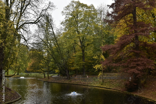 Etang avec fontaine au milieu de la v  g  tation luxuriante en automne au parc Josaphat    Schaerbeek