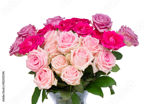 Bunch of pink and violet blooming fresh rose flowers border isolated on white background
