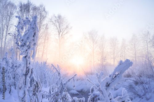 Winter beautiful landscape with the sun, frost and fog.   © sablinstanislav