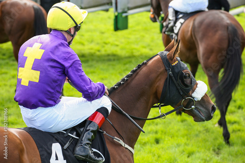 Close-up on race horse and jockey near the start gate © Gabriel Cassan