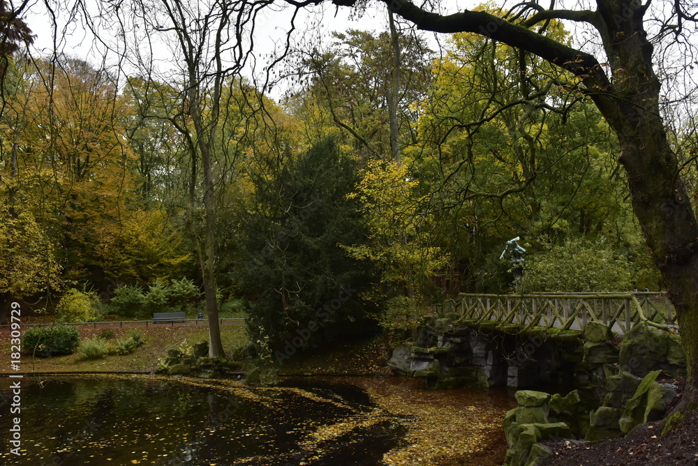 Le pont rustique sous la verdure luxuriante en automne ,au parc Josaphat à Schaerbeek