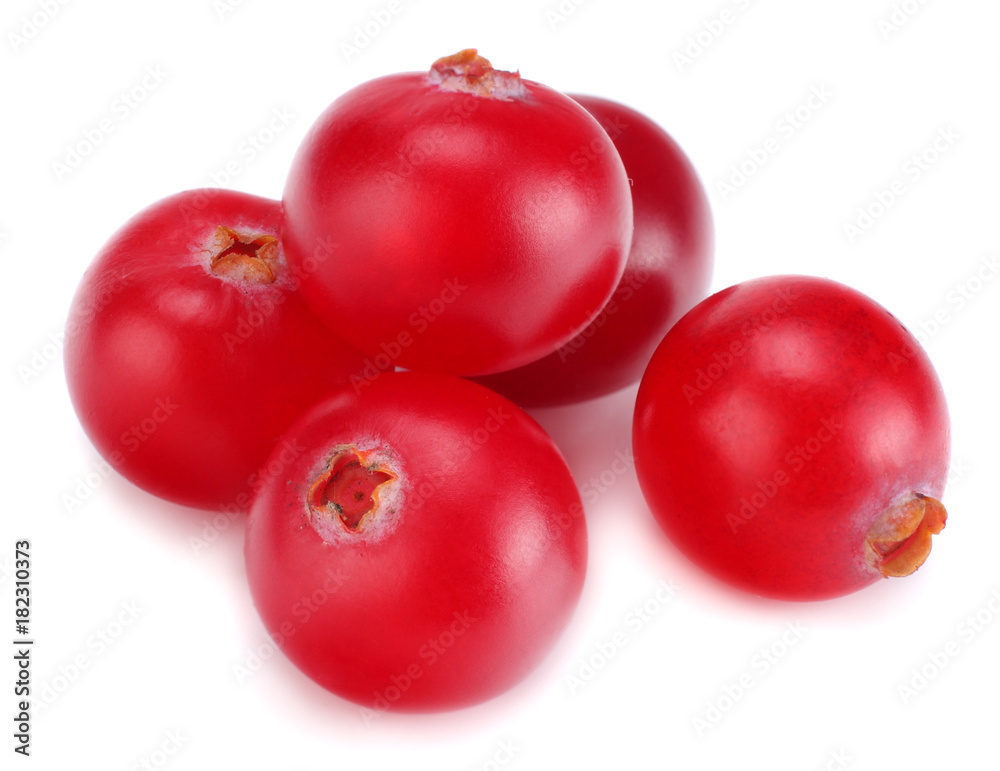Cranberry isolated on white. With clipping path. Full depth of field. Cranberry isolated on white. With clipping path. Full depth of field.