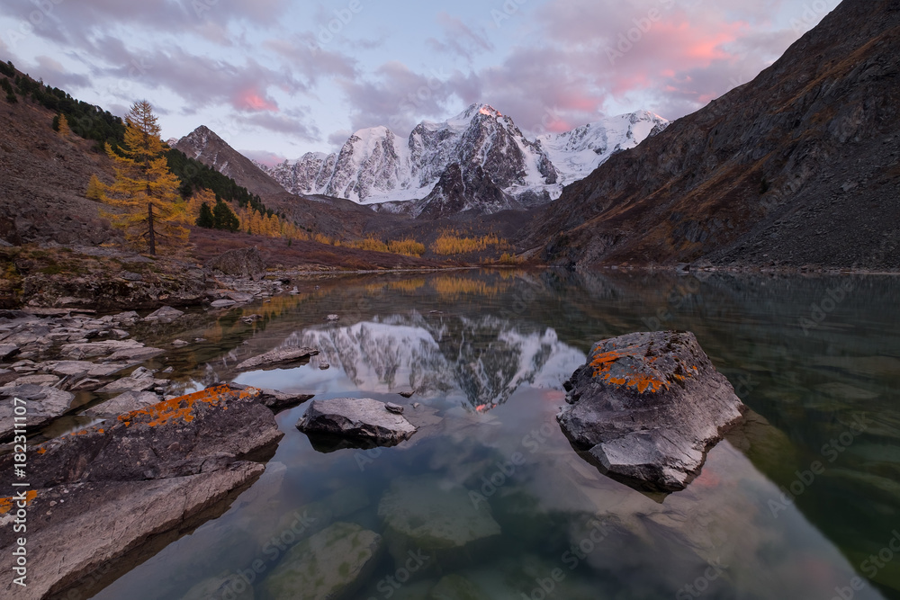 A tranquil colorful sunset over a smooth surface of a mountain lake, which reflects in clear water snow capes. A single larch tree grows on the shore next to stones with lichen, Siberia, Altai, Shavla