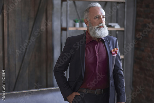 Portrait of serious elegant bearded retire locating in room. Profession concept