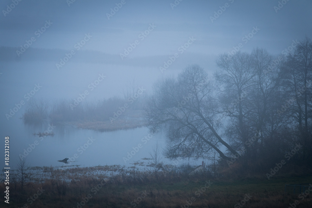 Fototapeta premium autumn floodwaters with misty trees and bushes on a cloudy sad day