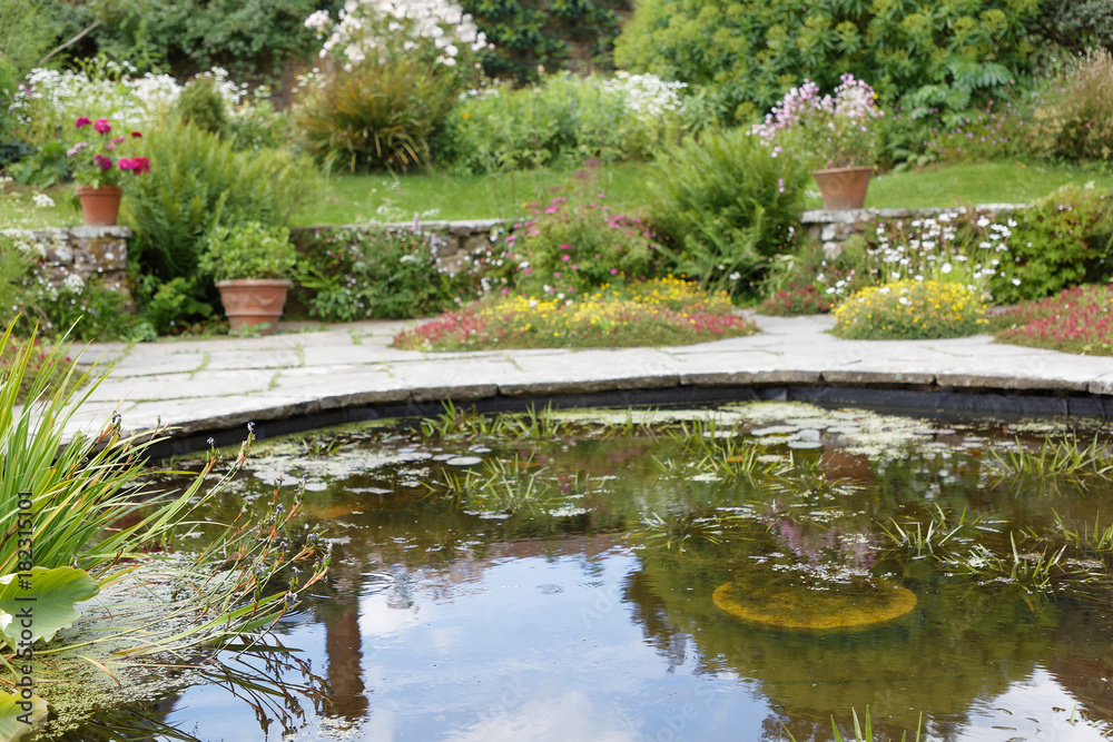 Naklejka premium Pond with flowers and plants