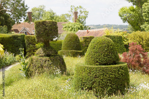 Topiary of yew trees in different shape in a garden photo