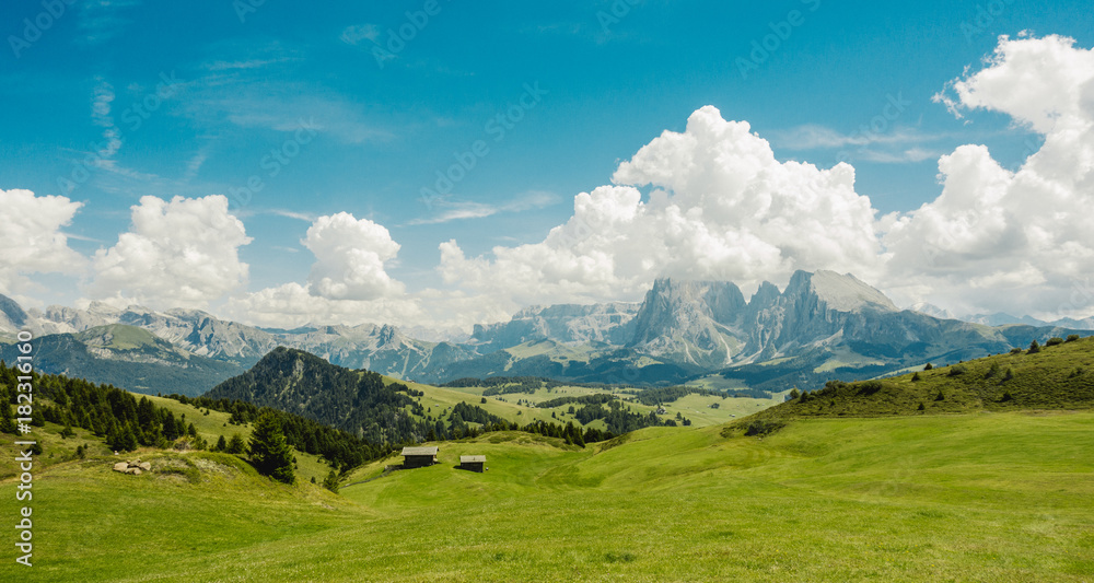 Panorama grassland with cabins on Alpe di Siusi in the Dolomites