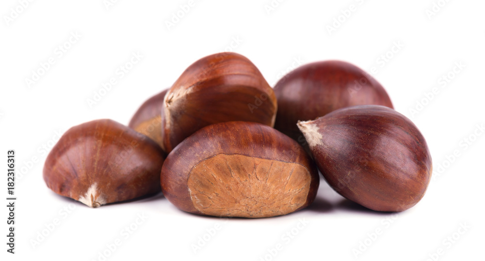 Fresh chestnuts isolated on white background. Hippocastanum isolated. Chestnut with clipping path Fresh chestnuts isolated on white background. Hippocastanum isolated. Chestnut with clipping path