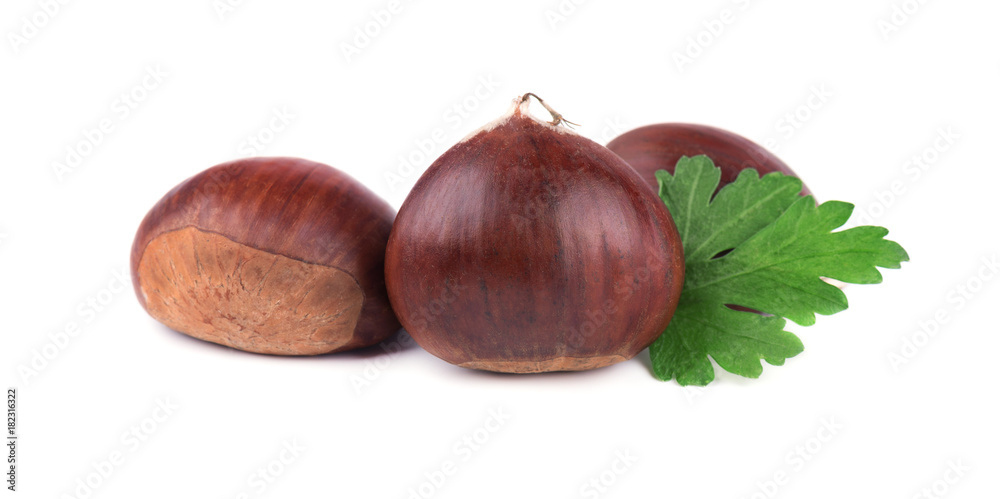 Fresh chestnuts with leaf of parsley isolated on white background. Hippocastanum isolated. Isolated chestnut set with clipping path. Macro Fresh chestnuts with leaf of parsley isolated on white background. Hippocastanum isolated. Isolated chestnut set with clipping path. Macro