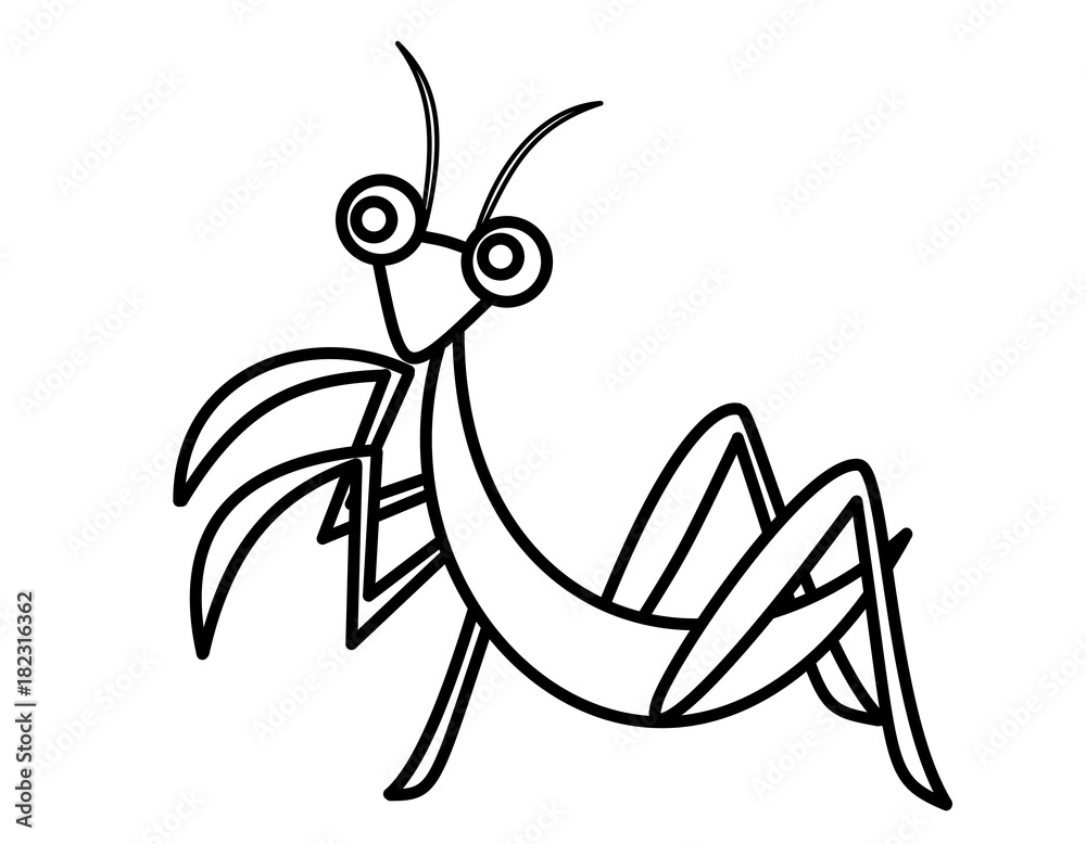 カマキリ 線画 Stock イラスト Adobe Stock