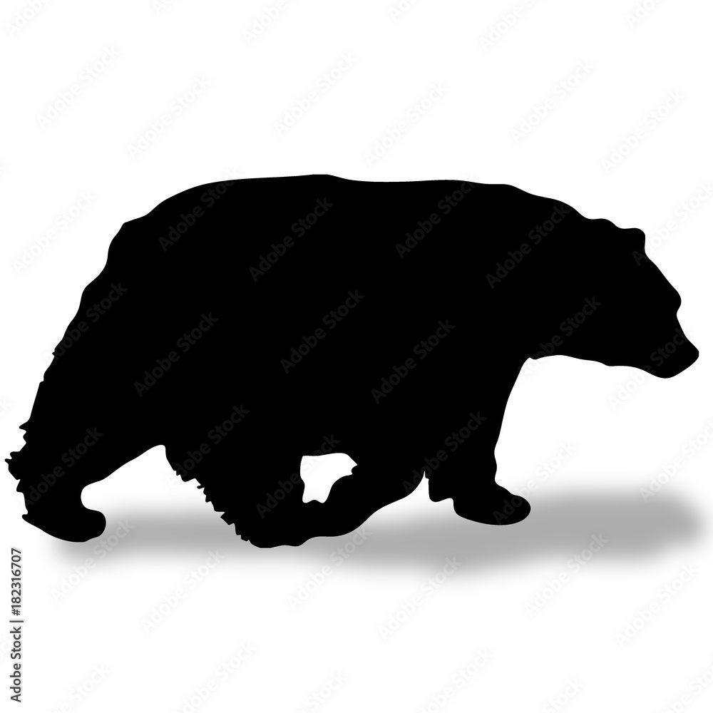 Naklejka premium black bear silhouette with shadow