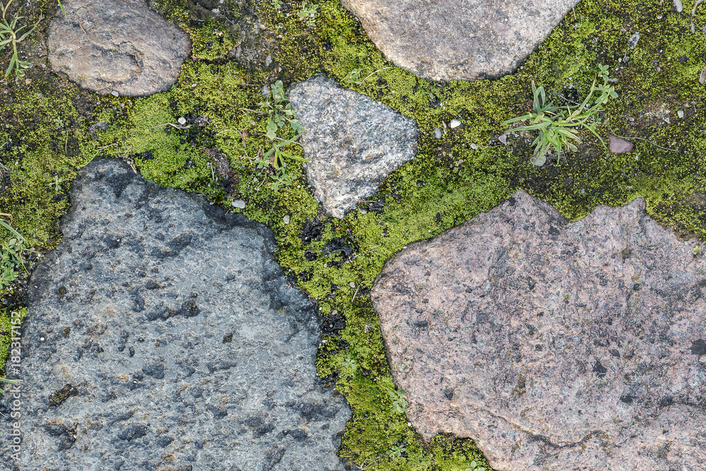 Obraz premium Fragment of the old road paved granite stones