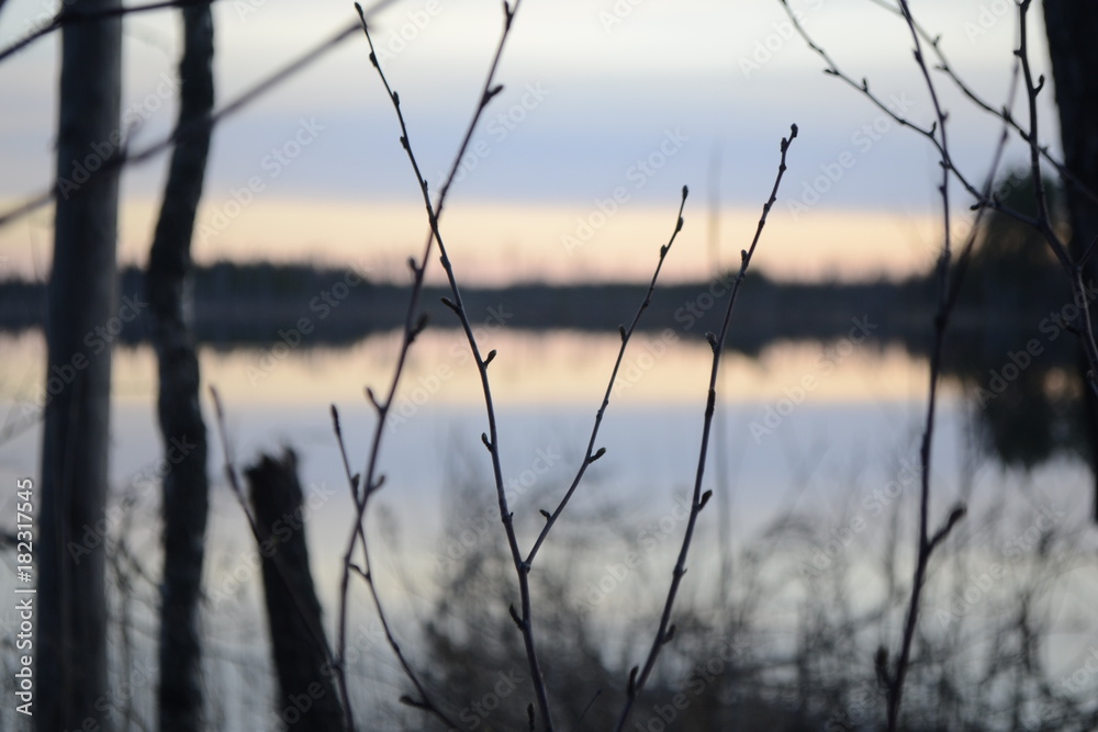 Fototapeta premium Russia, canoeing tour in Karelia