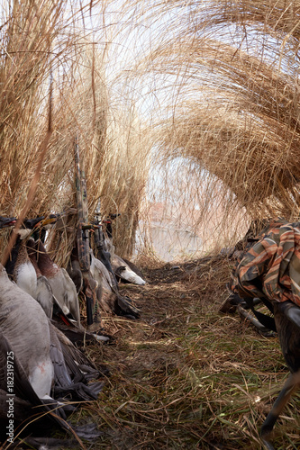 View inside the brush hide or blind of a hunt