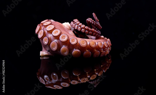 Octopusarm