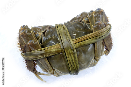 Raw shanghai hairy crab