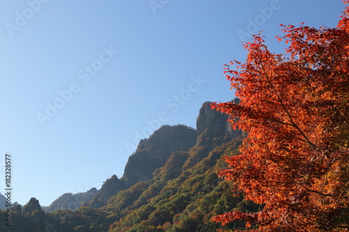紅葉と妙義山