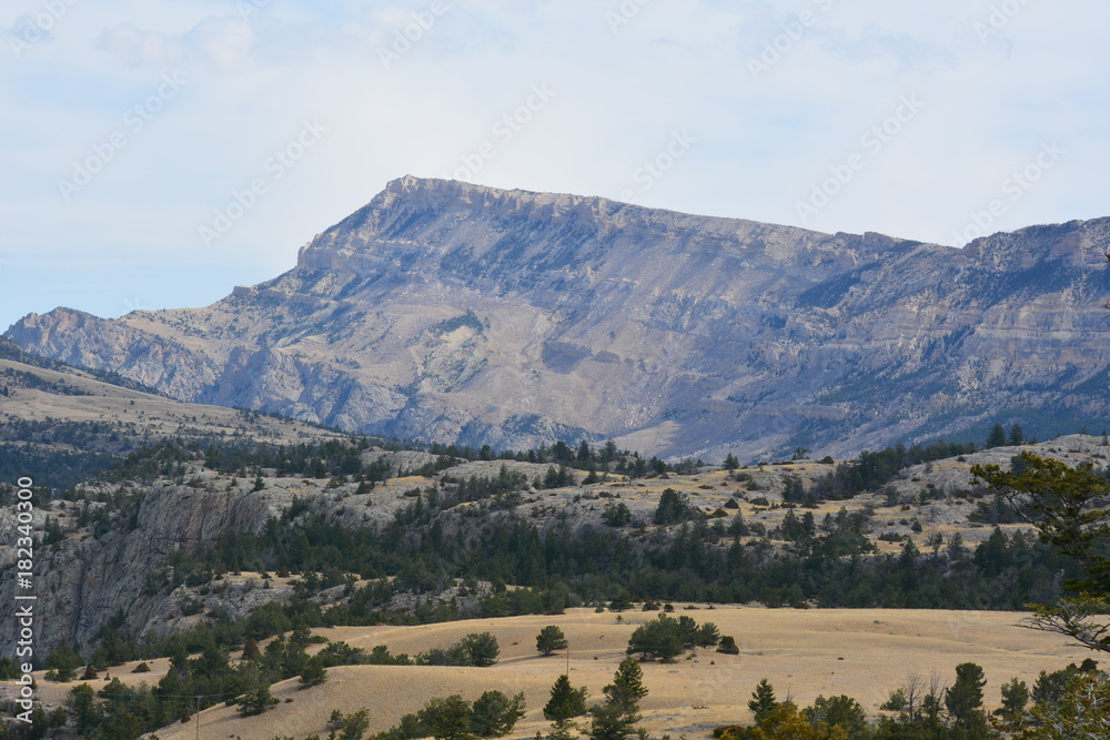 Fototapeta premium Range land Yellowstone