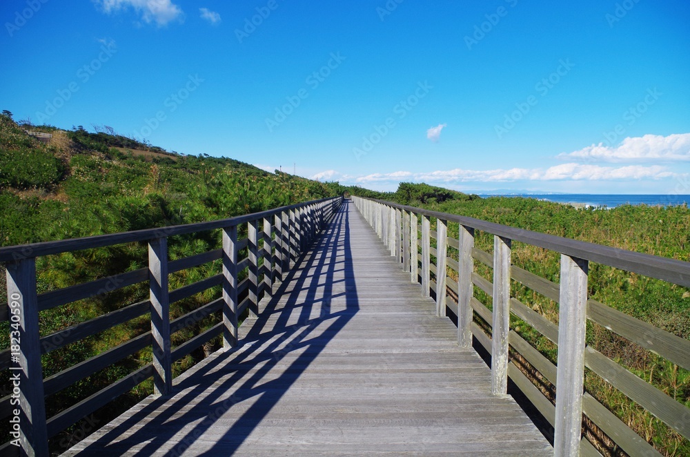 鹿島灘の遊歩道