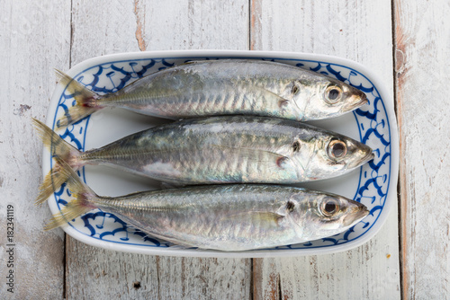 Fresh mackerel fish in plate photo