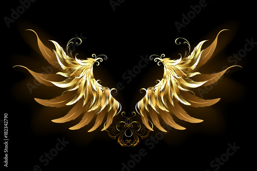 Shiny angel wings