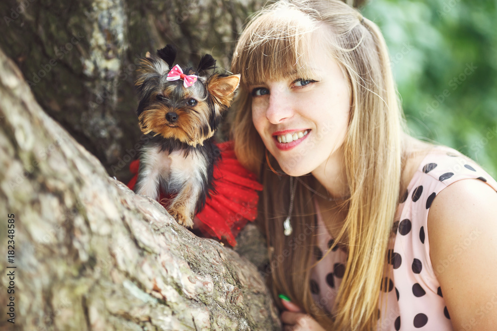 Lovely puppy of female Yorkshire Terrier small dog with bow on girl hands in the forest on green background Lovely puppy of female Yorkshire Terrier small dog with bow on girl hands in the forest on green background