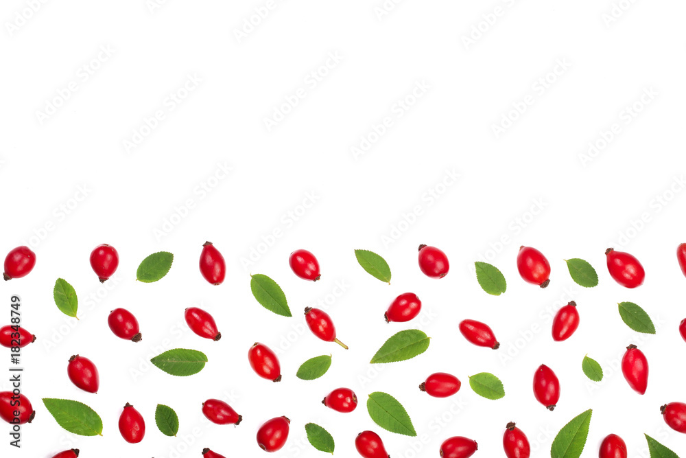 rosehip berries isolated on white background with copy space for your text. Flat lay pattern. Top view
