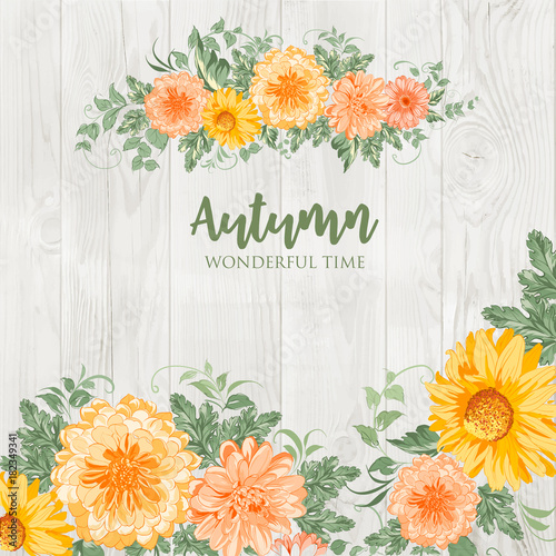 Blossom autumn chrysanthemum flowers isolated over wooden wall background. Vector illustration.