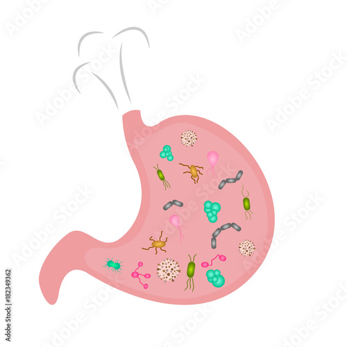 A Stomach  full of microbs. Cartoon sstyle