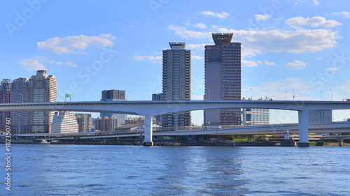 View of Tokyo Bay with Rainbow Bridge, Japan