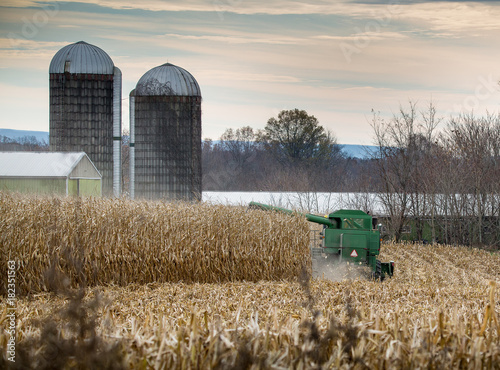 Corn Harvest