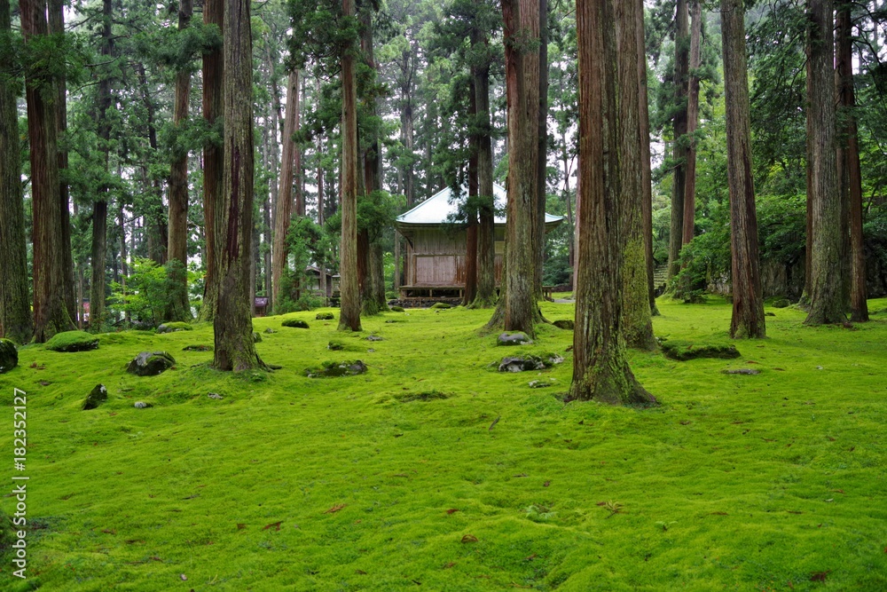 Fototapeta premium 福井県勝山市の平泉寺白山神社の境内