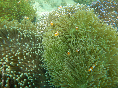 The Underwater View 2