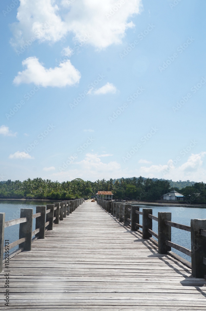 Naklejka premium Wooden Bridge in The Lake