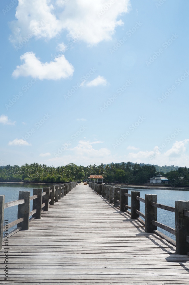 Wooden Bridge in The Lake