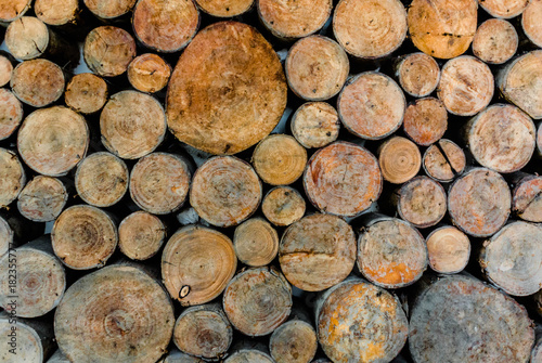 Old wooden logs and textures for background  Vintage Filter Stacked timber logs as background