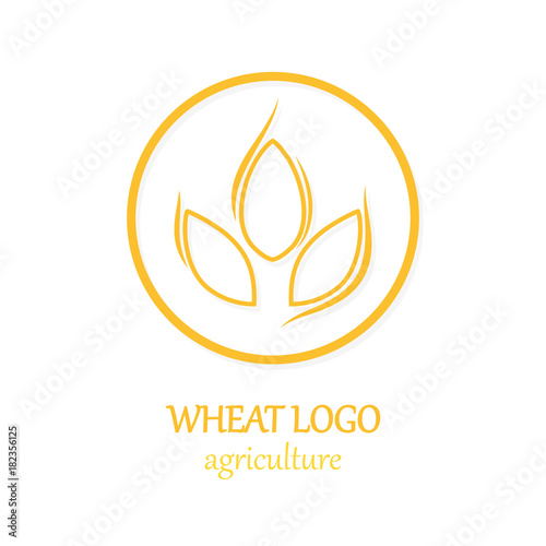 Agriculture Wheat Logo Icon Design Template Vector Illustration