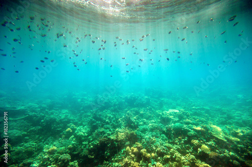 underwater 