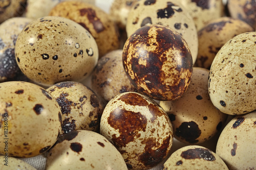 Quail eggs as background texture