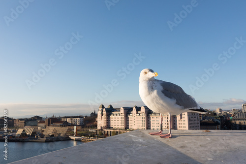 Canvas Print Skyline von Oslo, Norwegen