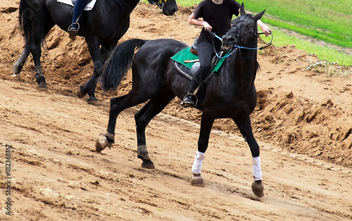 Race horse in run. A black horse with a rider runs along the track.