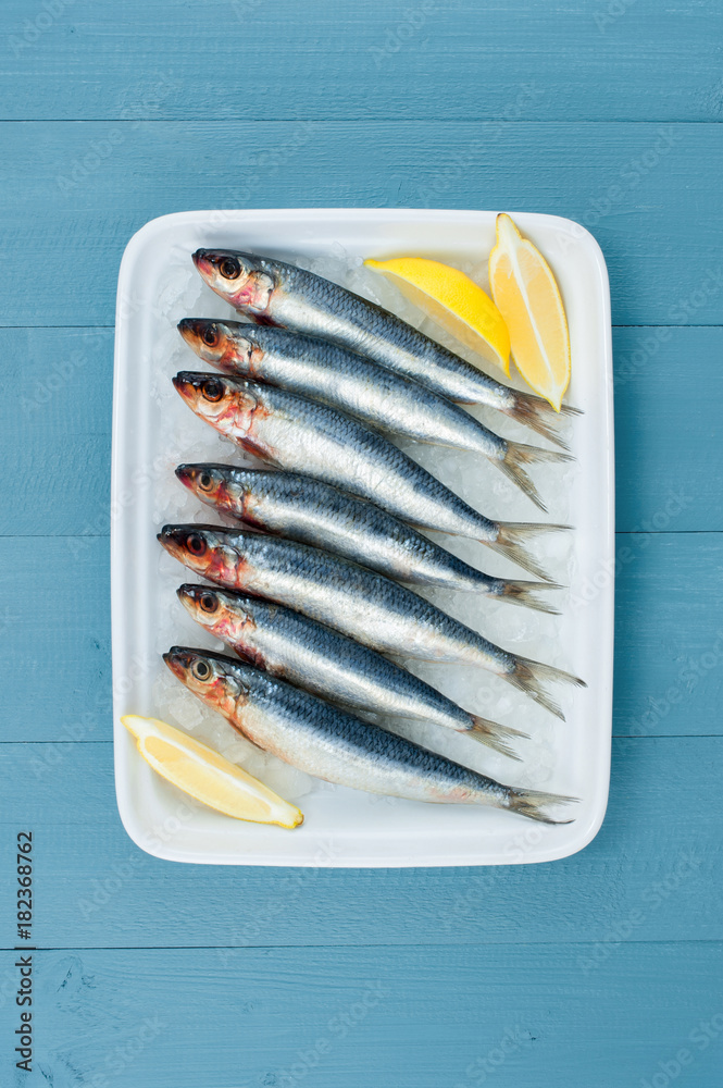 Raw fresh sardines and lemon in the white plate with ice on the blue table