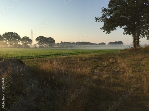 Feld, Wiese, Hund, Pflanze, Sonne, Wolken, Strand, Sonnenuntergang, Meer, See, Frost, Tau,