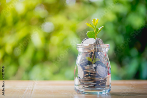 Saving money concept, coins in Glass bottles with plant on wood,Plant growing in glass with coins full