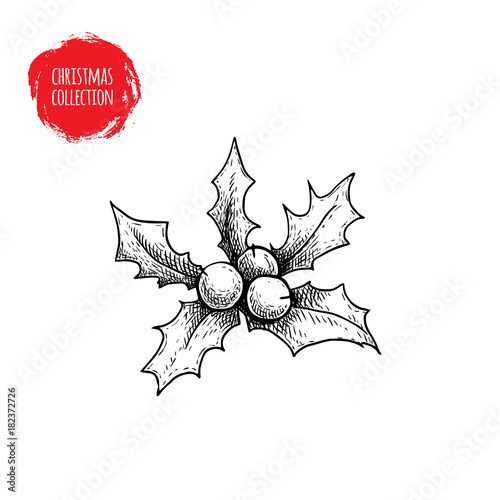 Hand drawn sketch holly berry. Christmas seasonal plant. Winter holiday symbol. Vector illustration isolated on white background.