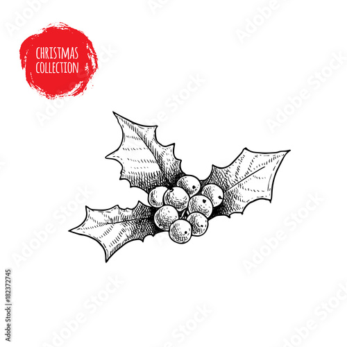 Hand drawn sketch holly berry. Christmas seasonal plant. Winter holiday symbol. Vector illustration isolated on white background.