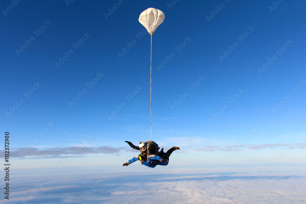 Fototapeta premium Skydiving. Amazing tandem jump.