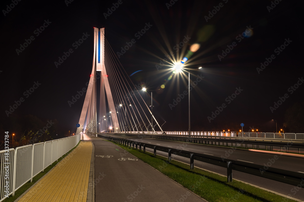 Highway going through a cable-stayed bridge